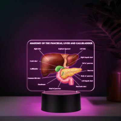 3D Illusion Liver Function LED Night Lamp Educational Study Table Lamp with 7 Color Changing Light Medical Student Room & Doctor Clinic Decor
